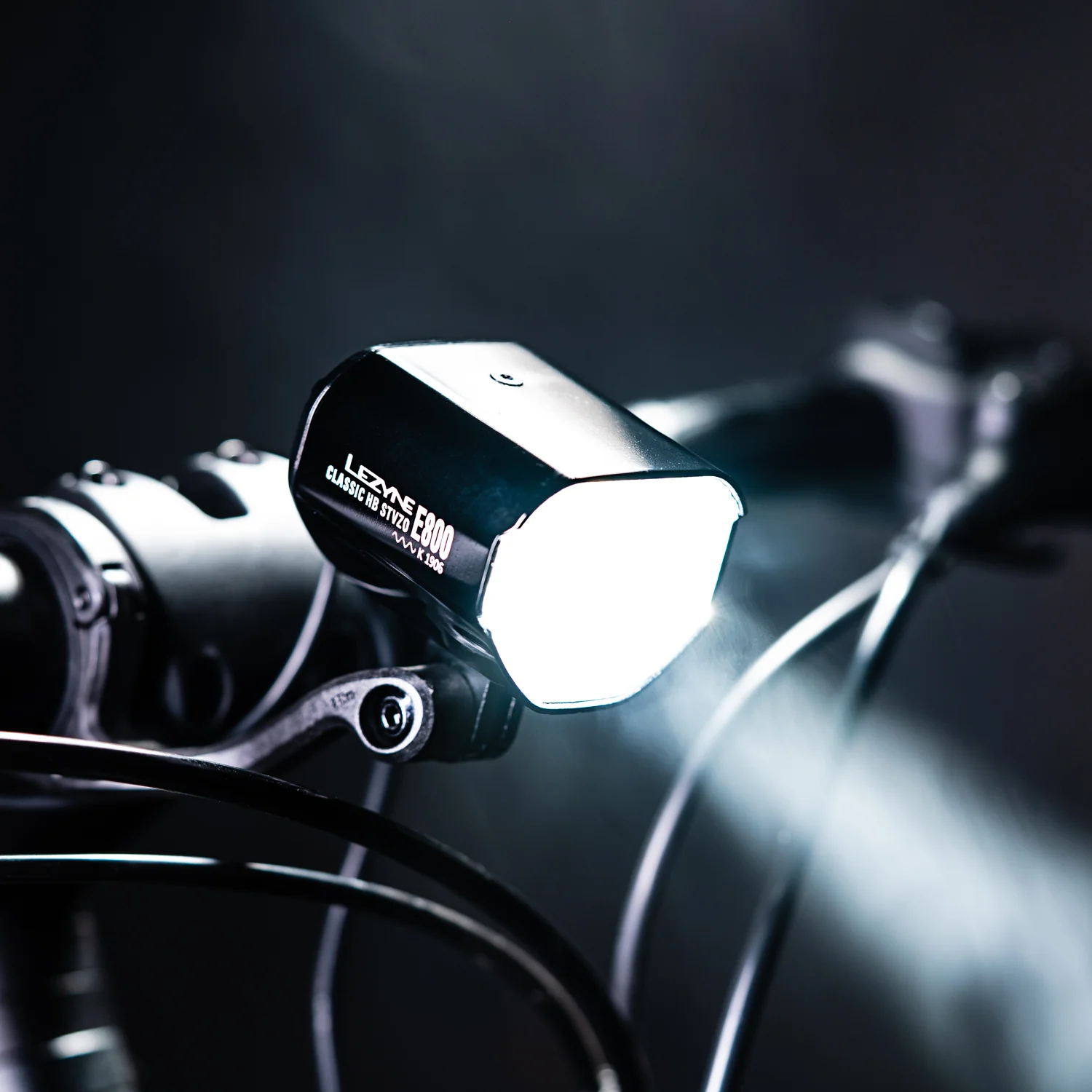 E-BIKE CLASSIC HB STVZO E800 - Image 3